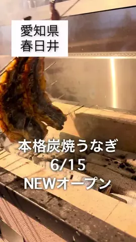 まなみのTikTok投稿