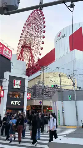 ぎゃらぴかのTikTok投稿