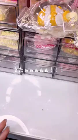 まみのTikTok投稿