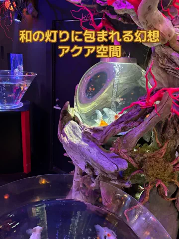 めしけしきのTikTok投稿