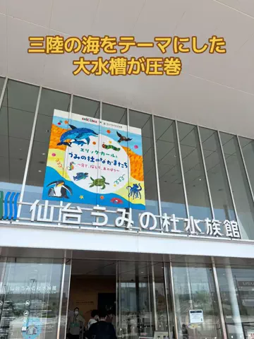 めしけしきのTikTok投稿