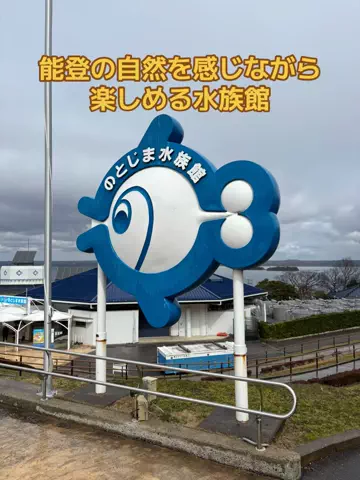 めしけしきのTikTok投稿