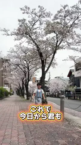 ファーストキッズTVのTikTok投稿