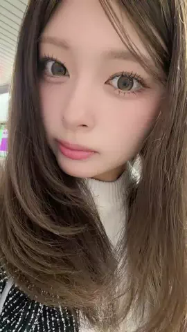 木風のTikTok投稿
