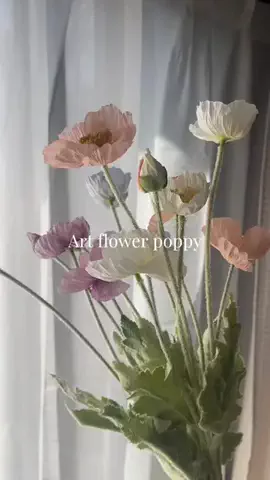 salut_emiのTikTok投稿