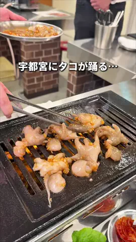 栃木グルメのTikTok投稿