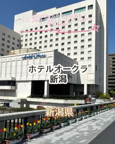 🌿𝙉𝙖𝙢𝙞🍜❤【自粛中】のTikTok投稿