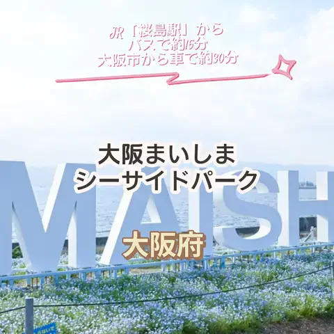 🌿𝙉𝙖𝙢𝙞🍜❤【自粛中】のTikTok投稿