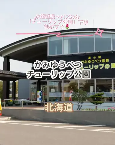 🌿𝙉𝙖𝙢𝙞🍜❤【自粛中】のTikTok投稿