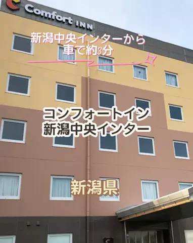 🌿𝙉𝙖𝙢𝙞🍜❤【自粛中】のTikTok投稿