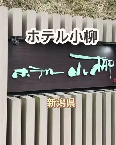 🌿𝙉𝙖𝙢𝙞🍜❤【自粛中】のTikTok投稿