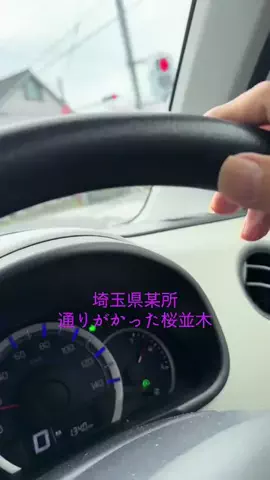 けろろのTikTok投稿