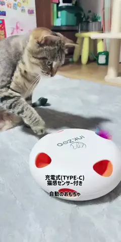 🐾過眠ちゃん💚✨のTikTok投稿