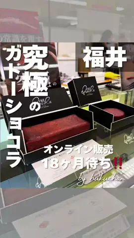 福ちゃんのTikTok投稿