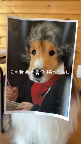 サンとソフィーのTikTok投稿