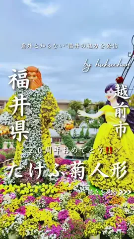 福ちゃんのTikTok投稿