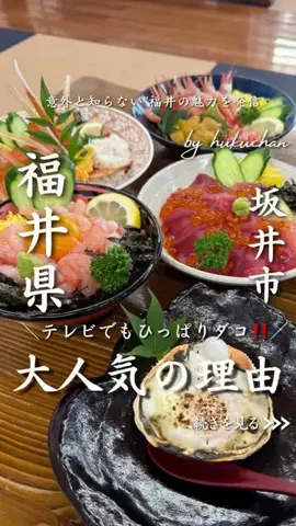 福ちゃんのTikTok投稿