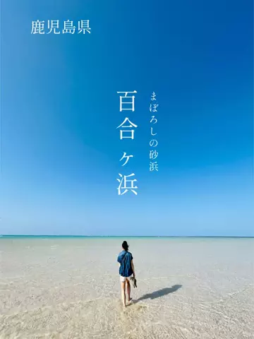 アラフォー夫婦のお出かけ記録のTikTok投稿