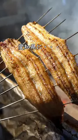のりなな｜尾張グルメ＆親子おでかけ情報のTikTok投稿
