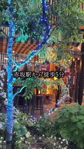shuuublog/ホテル紹介のTikTok投稿