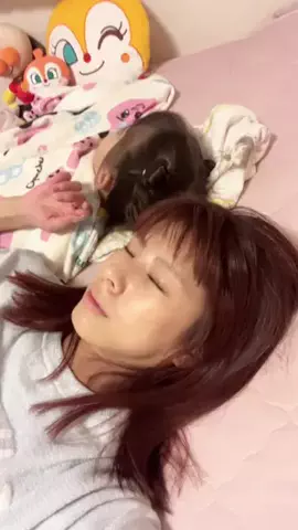 10/17生誕🌈ゆりこ先生🦄のTikTok投稿