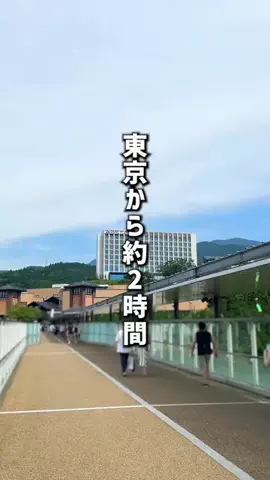 もじゃたび⌇静岡発✈︎旅行・観光・ホテルのTikTok投稿