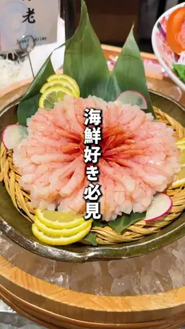 もじゃたび⌇静岡発✈︎旅行・観光・ホテルのTikTok投稿