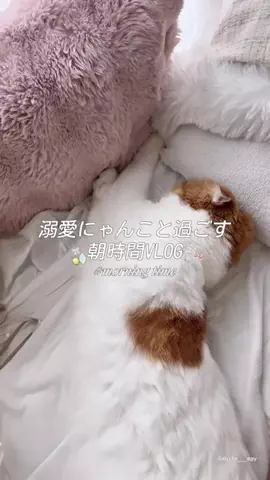 𝒎𝒂𝒚 (めい)のTikTok投稿