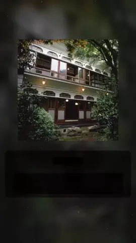 Noriou botのTikTok投稿