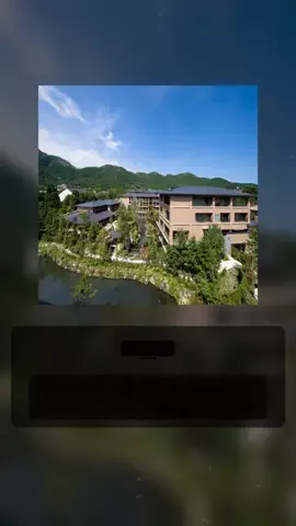 Noriou botのTikTok投稿