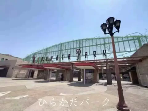 フォロバのTikTok投稿