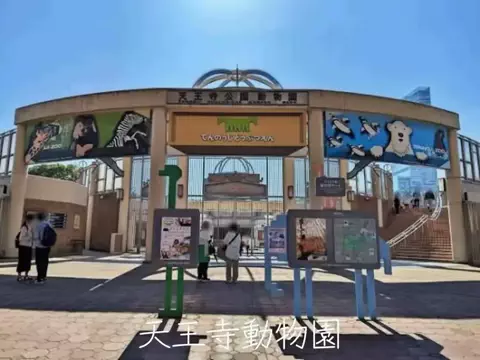 フォロバのTikTok投稿