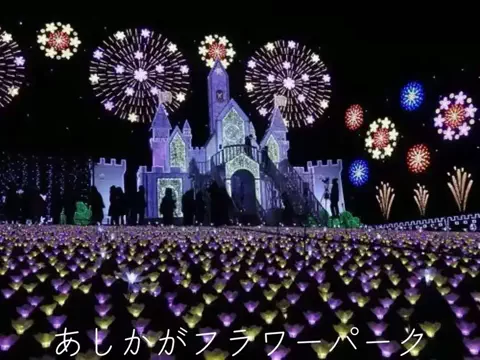 フォロバのTikTok投稿