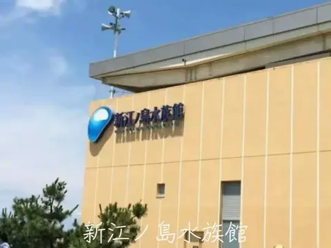 フォロバのTikTok投稿