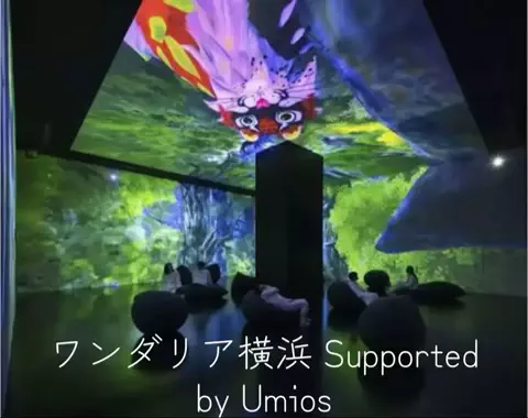 フォロバのTikTok投稿