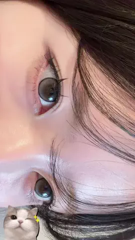 いぬねこᴖ ̫ᴖのTikTok投稿