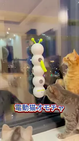 みかのTikTok投稿