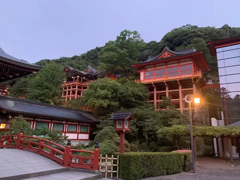 たちのTikTok投稿