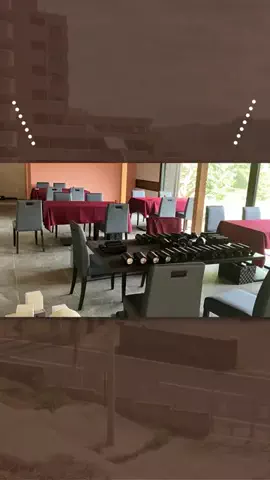 ほぷしものTikTok投稿