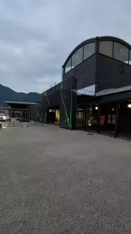 たちのTikTok投稿