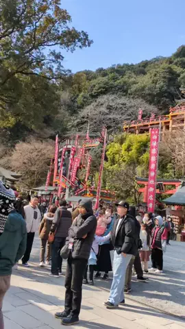 たちのTikTok投稿