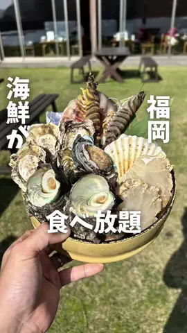 まさきグルメのTikTok投稿