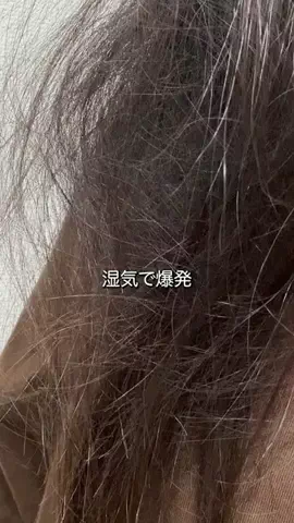 もいもいのTikTok投稿