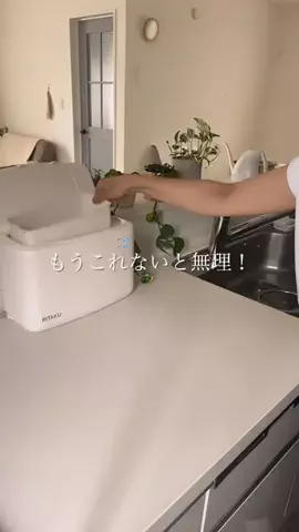 はづき｜自然と動物にやさしい暮らしのTikTok投稿