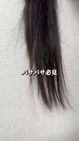 もいもいのTikTok投稿