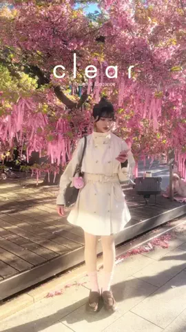 miyuのTikTok投稿