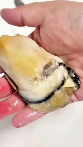 🎀sakiのバズログ🎀のTikTok投稿