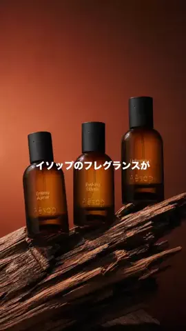 frenavi｜ケンティー香水学校のTikTok投稿