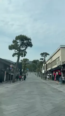 島根グルメ／SHIMANE SELECTのTikTok投稿