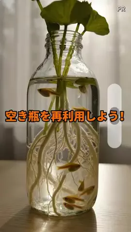 oota.mei86のTikTok投稿
